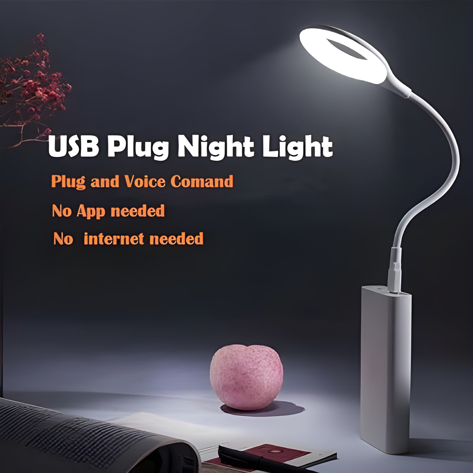 Smart Voice Control USB Light